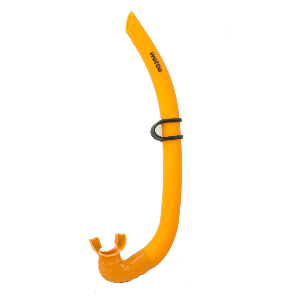 Wettie Reef Snorkel