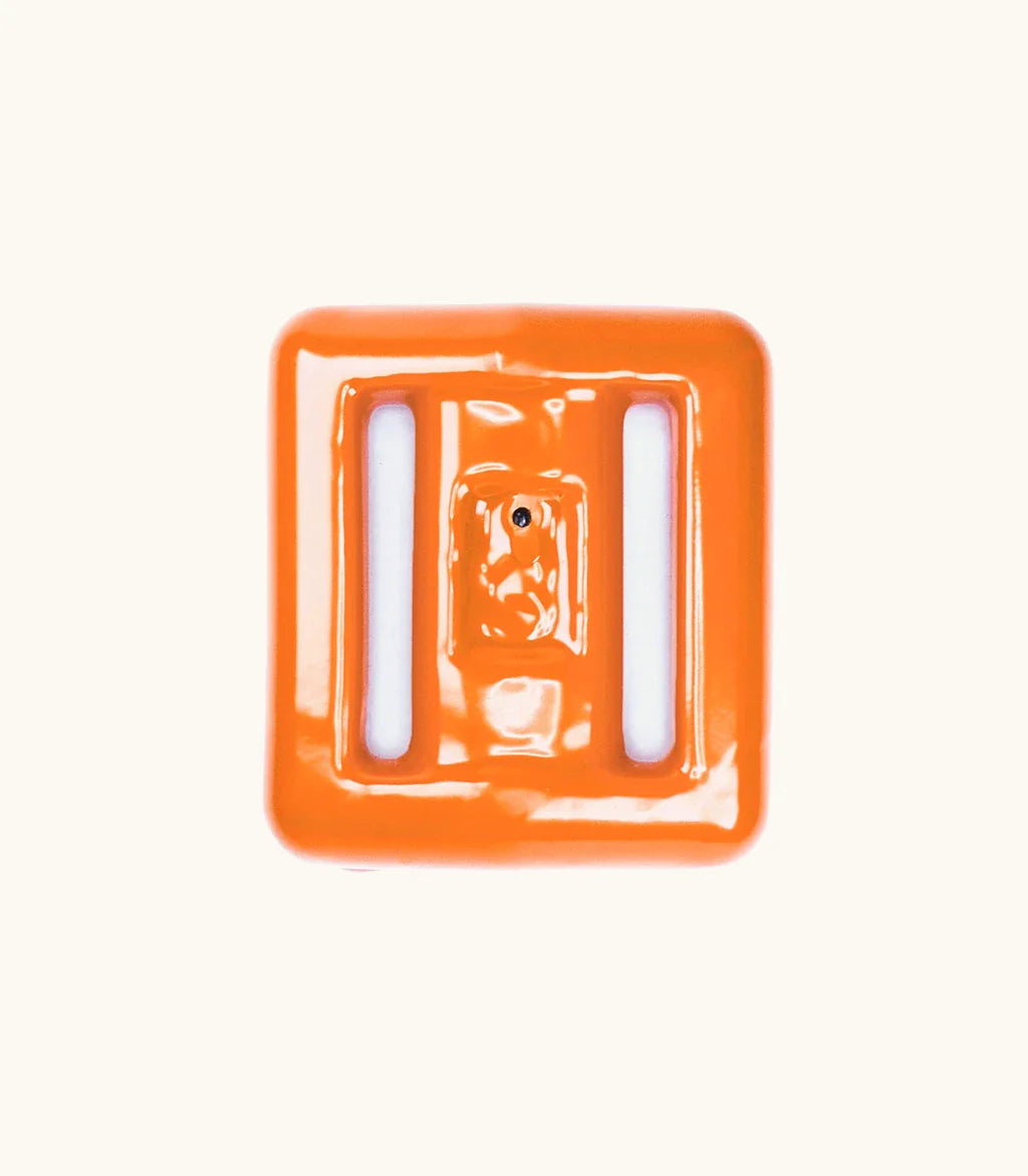 Clownfish