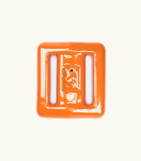 Clownfish